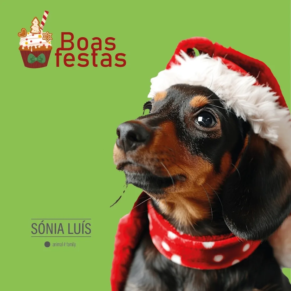 Sónia Luís Petsitter - Santarém pet otel