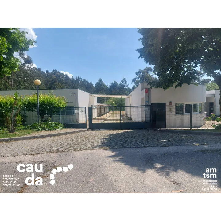 CAUDA - Casa de Acolhimento pela União e Defesa Animal - São João da Madeira pet otel