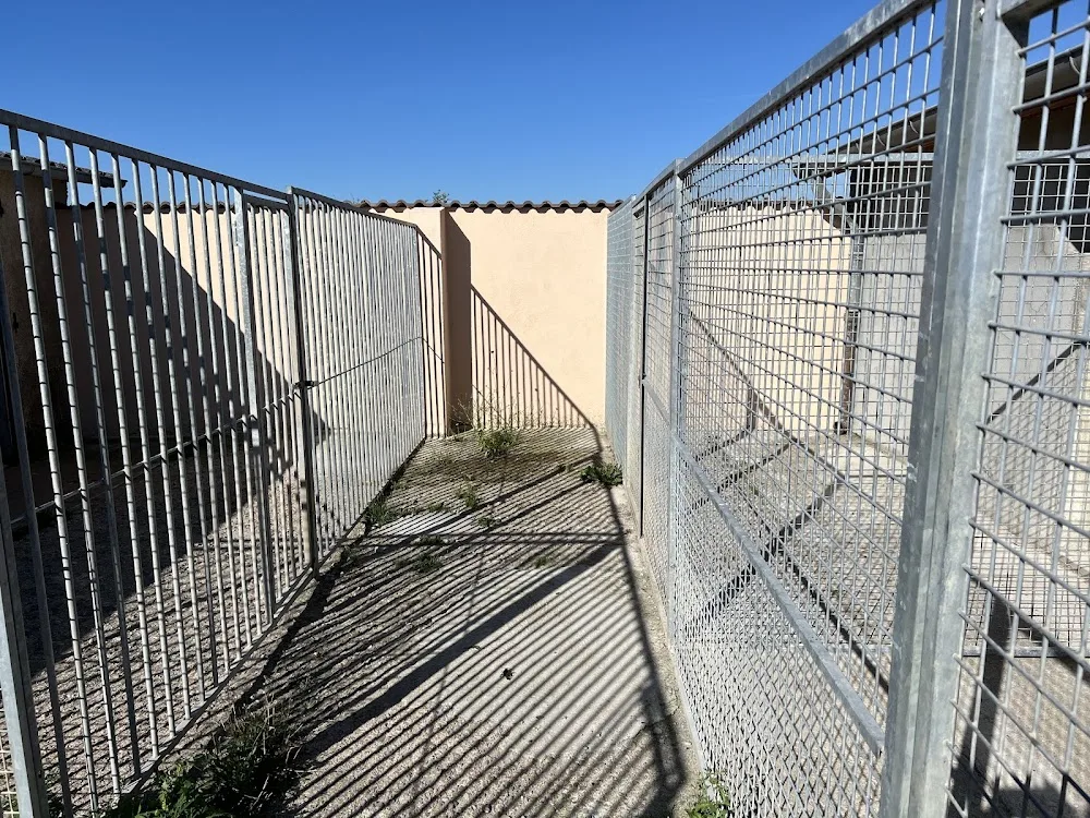 Liberté Canine | Centre d’Éducation et Pension Canine - Saône-et-Loire pet otel