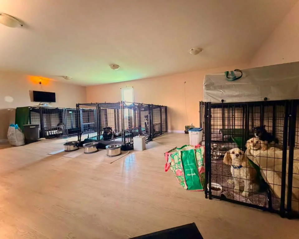 Bark Inn Boutique Boarding - Saskatchewan pet otel
