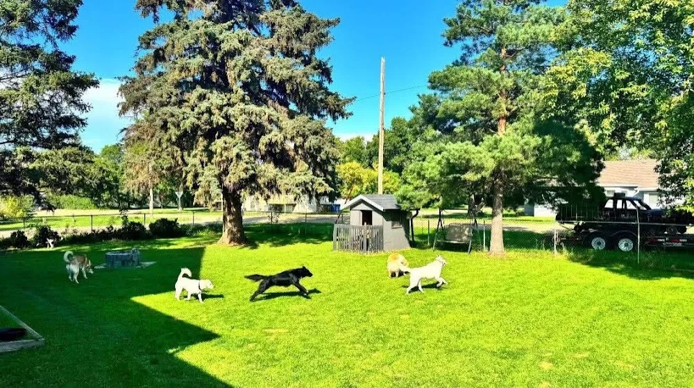 Bark Inn Boutique Boarding - Saskatchewan pet otel görseli 3