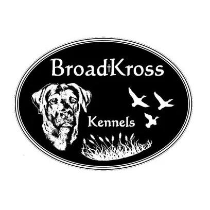 Broadkross Kennels - Saskatchewan pet otel görseli 3