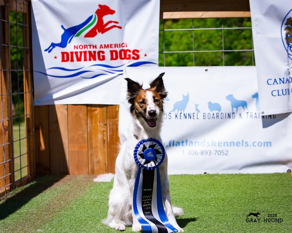 Flatlands Kennels - Saskatchewan pet otel