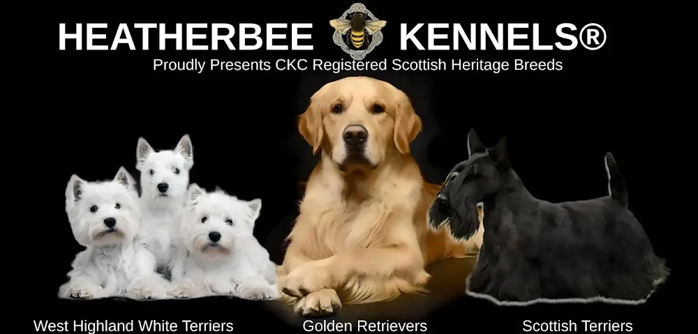 HeatherBee Kennels - Saskatchewan pet otel