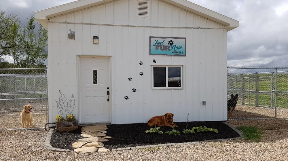 Just Fur Now Kennels - Saskatchewan pet otel görseli 2