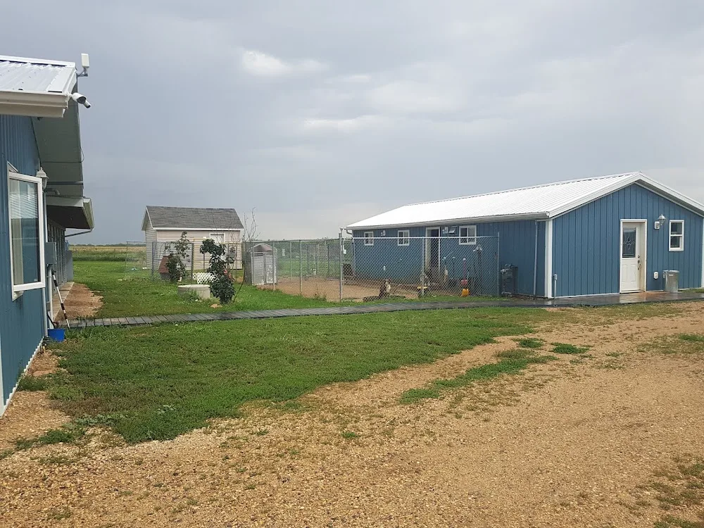 Paws Claws N' Tails Dog and Cat Boarding and Daycare Moose Jaw and Area - Saskatchewan pet otel görseli 3