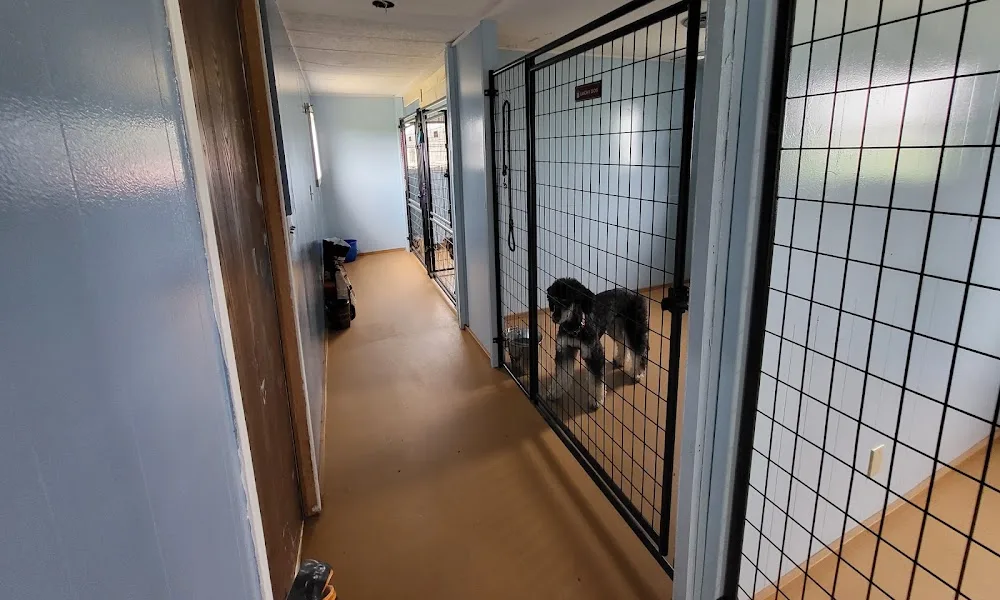 Prairie Kennels - Saskatchewan pet otel görseli 2