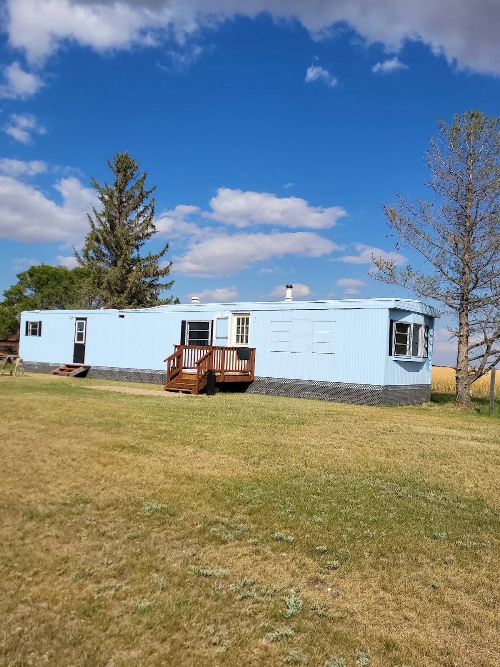Prairie Kennels - Saskatchewan pet otel görseli 3