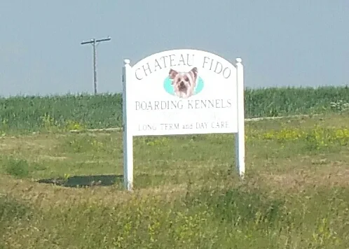 Wild West Dog Boarding - Saskatchewan pet otel görseli 3