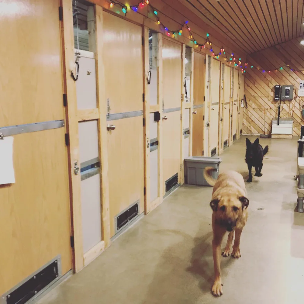 Woodley Acres Pet Resort - Saskatchewan pet otel görseli 3