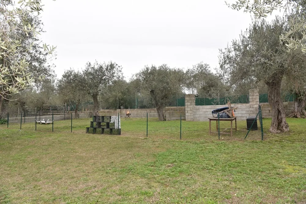 Cocker House ACSD - Sassari pet otel