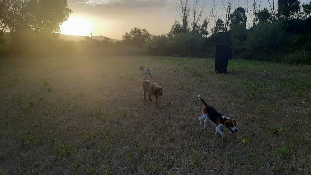 Il Parco del Cane - Sassari pet otel