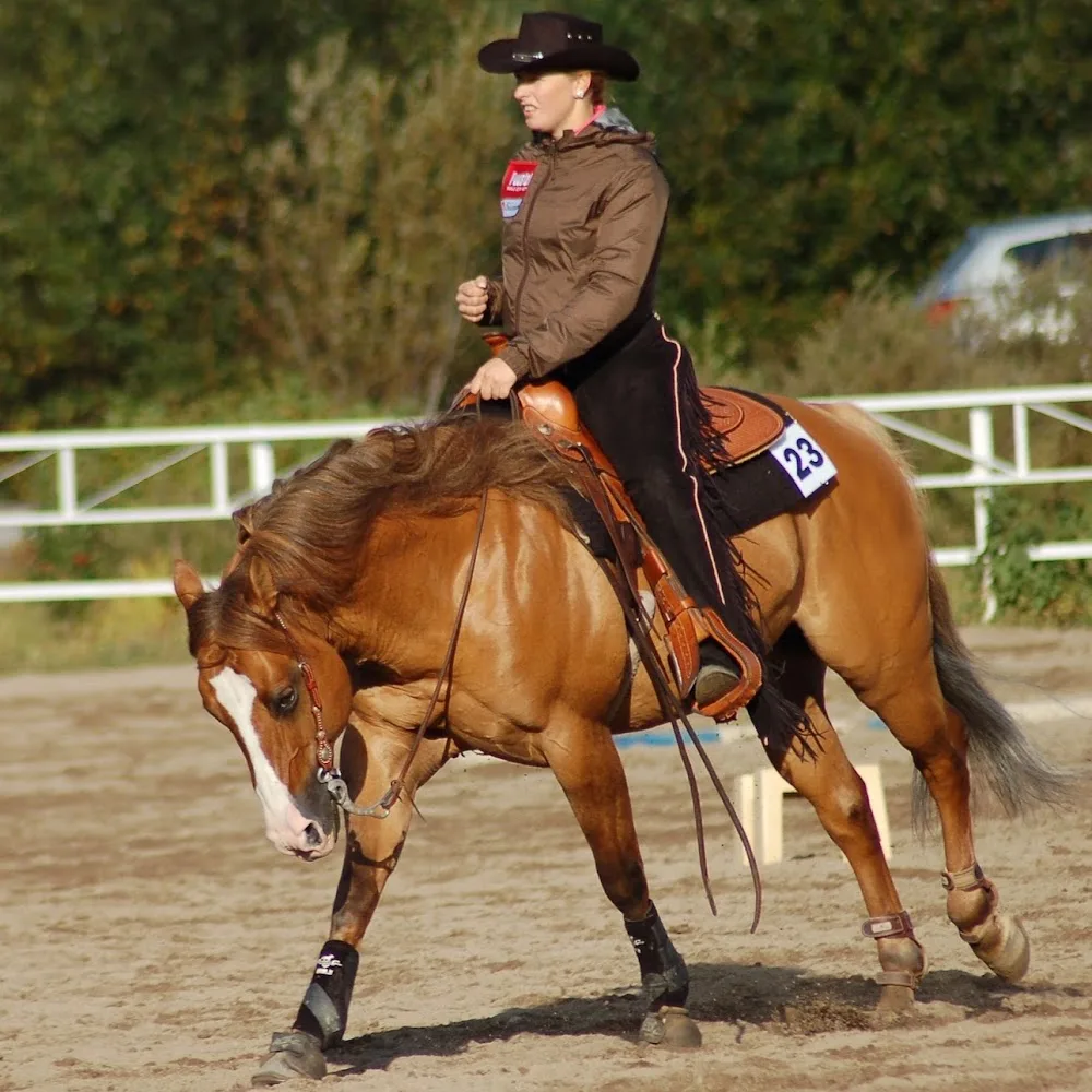 Mikälie - Sastamala pet otel