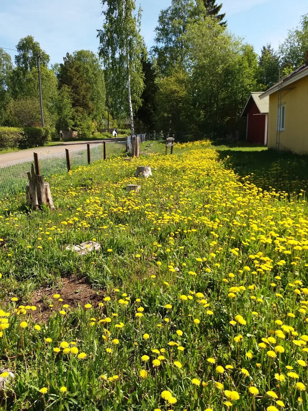 Karion kennel - Satakunta pet otel