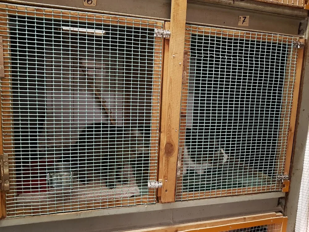 Pieneläinhoitola Päivin karvaturrit - Satakunta pet otel görseli 3
