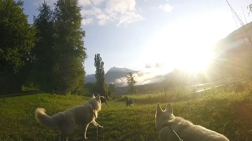 Centre D’Accueil et de Formation Canin Hte Tarentais - Savoie pet otel görseli 2