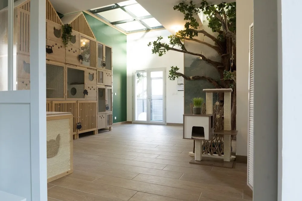 La colo Cat'aire - Pension pour chats - Savoie pet otel