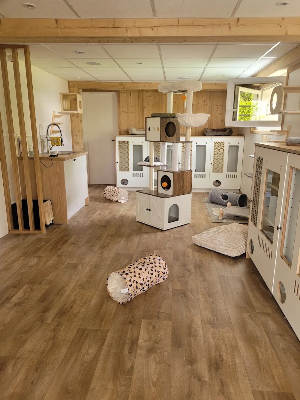 Le Clos des Pattounes - Savoie pet otel görseli 3