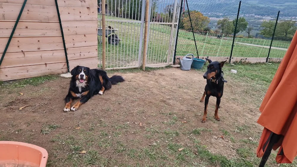 Pension et Elevage du cœur de Belledonne - Savoie pet otel görseli 3