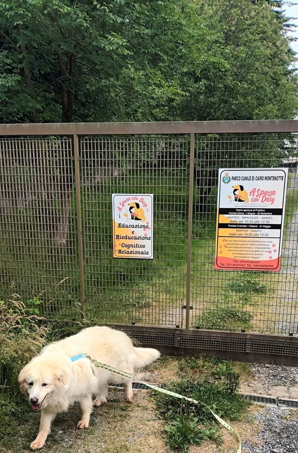 Canile di Cairo Montenotte - Savona pet otel görseli 3