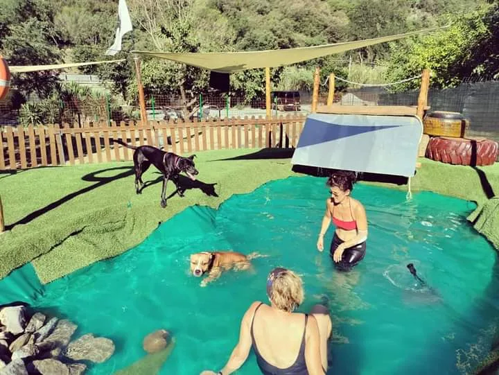 Cooper 313 - Cinofilia & NaturaTerapia - Savona pet otel görseli 3