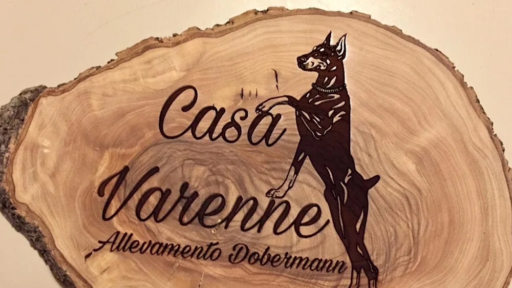 Pet Hotel pensione cani - Savona pet otel