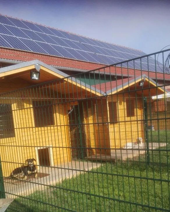 Hunde- & Katzenpension Ayla - Saxony-Anhalt pet otel görseli 3