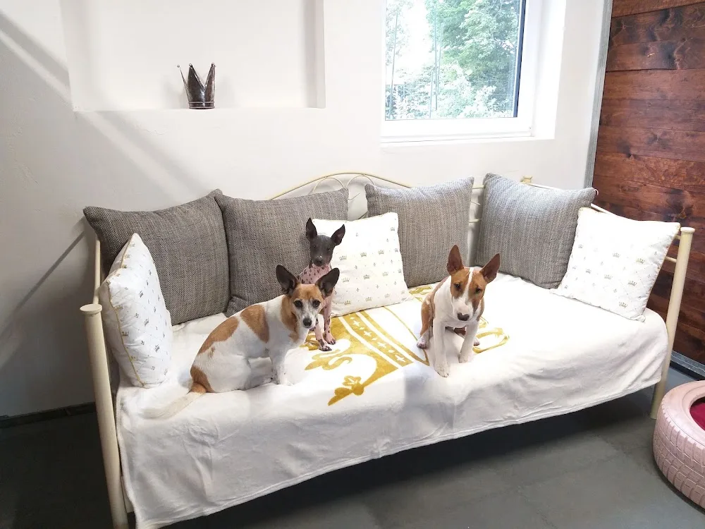 Hundehütte Bahrdorf - Saxony-Anhalt pet otel görseli 7