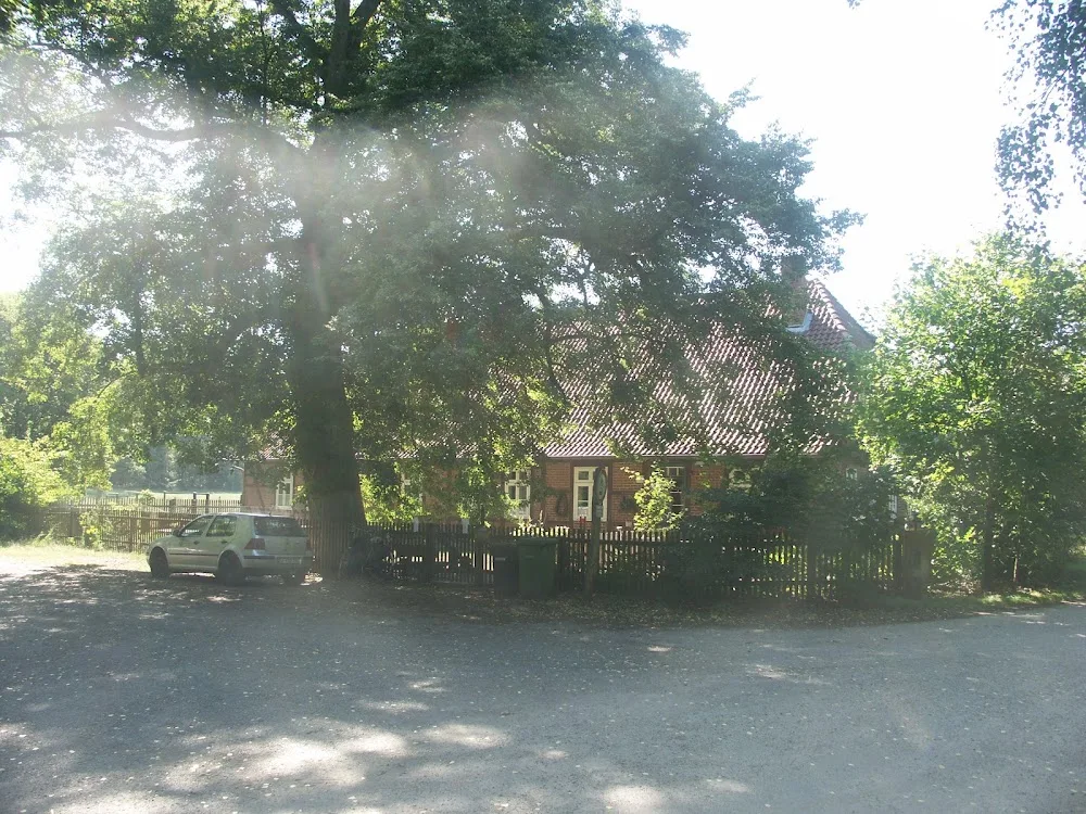 Hundepension Forsthaus Malloh - Saxony-Anhalt pet otel