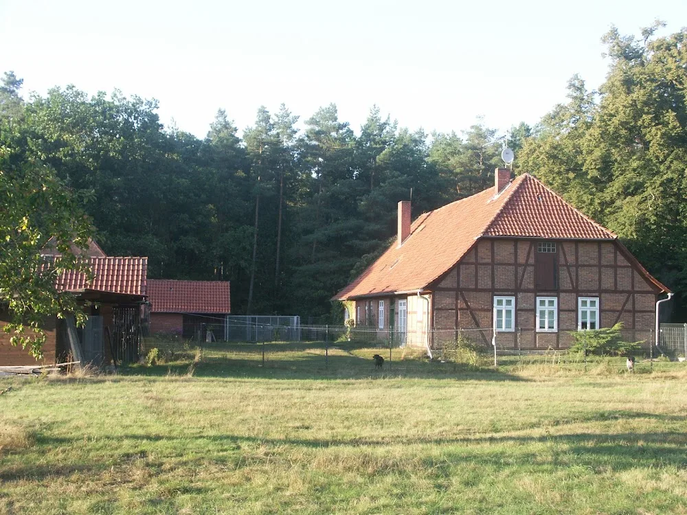 Hundepension Forsthaus Malloh - Saxony-Anhalt pet otel görseli 3