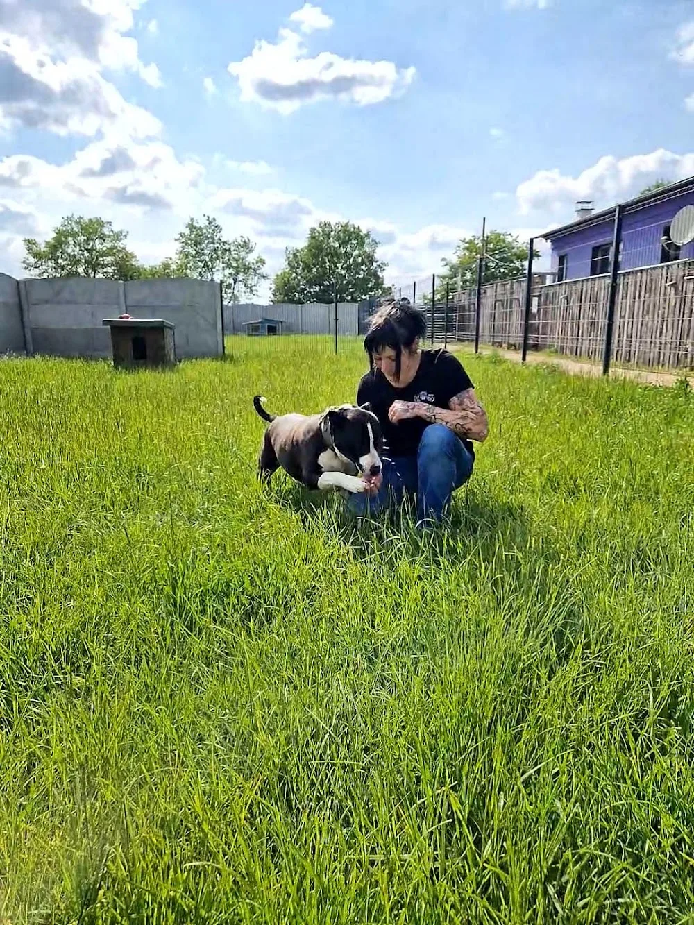 Hundepension Sorgenlos - Saxony-Anhalt pet otel