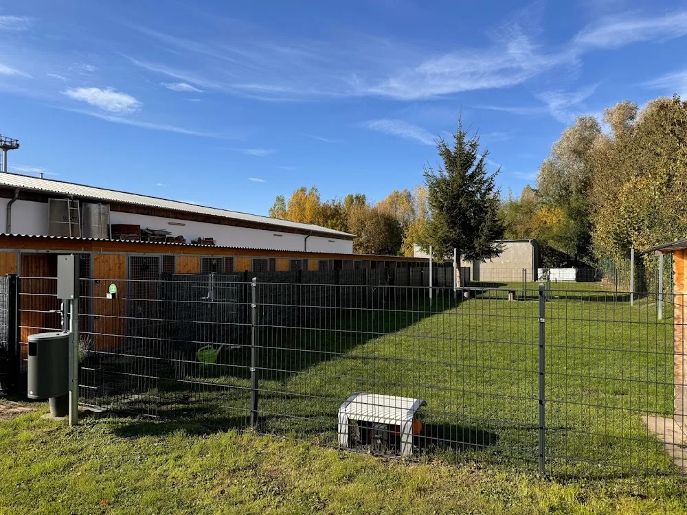 Hundeschule/Hundepension ich und du - Saxony-Anhalt pet otel görseli 2