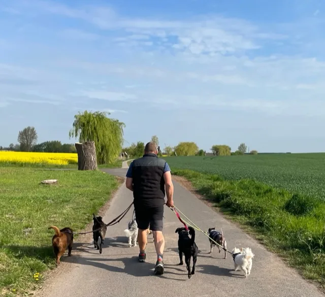 Tierpension Uhrsleben - Hundepension - Saxony-Anhalt pet otel görseli 3