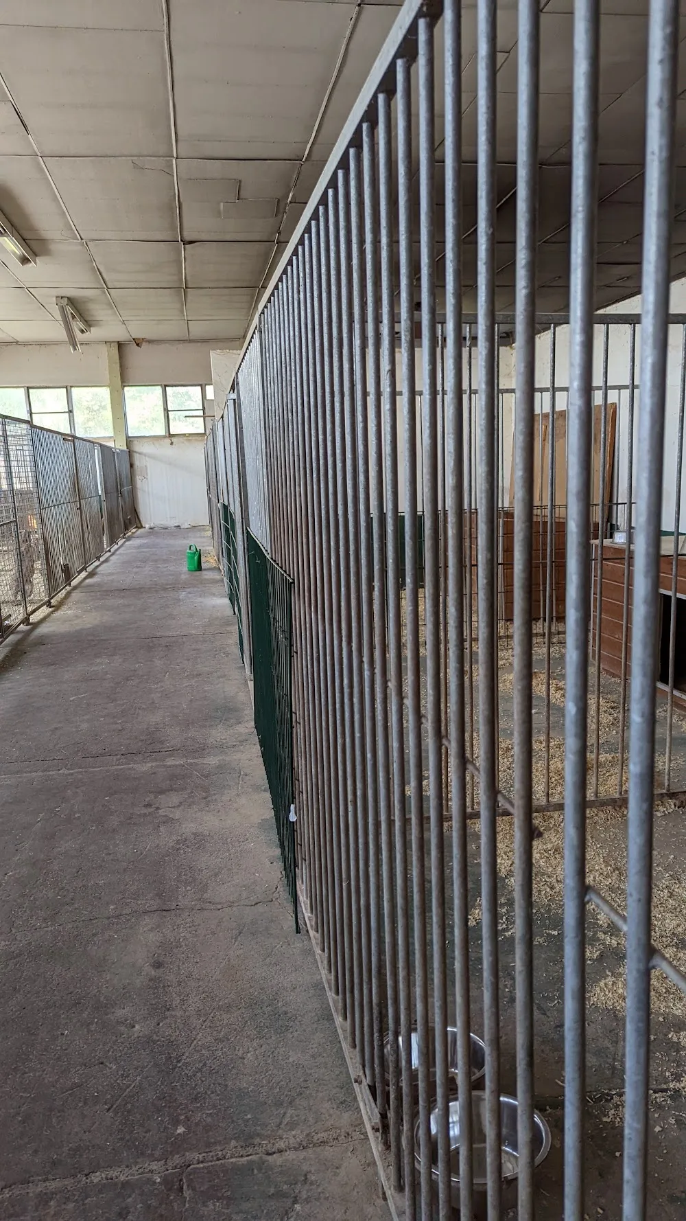 Tierpension und Hundeschule - Saxony-Anhalt pet otel görseli 3