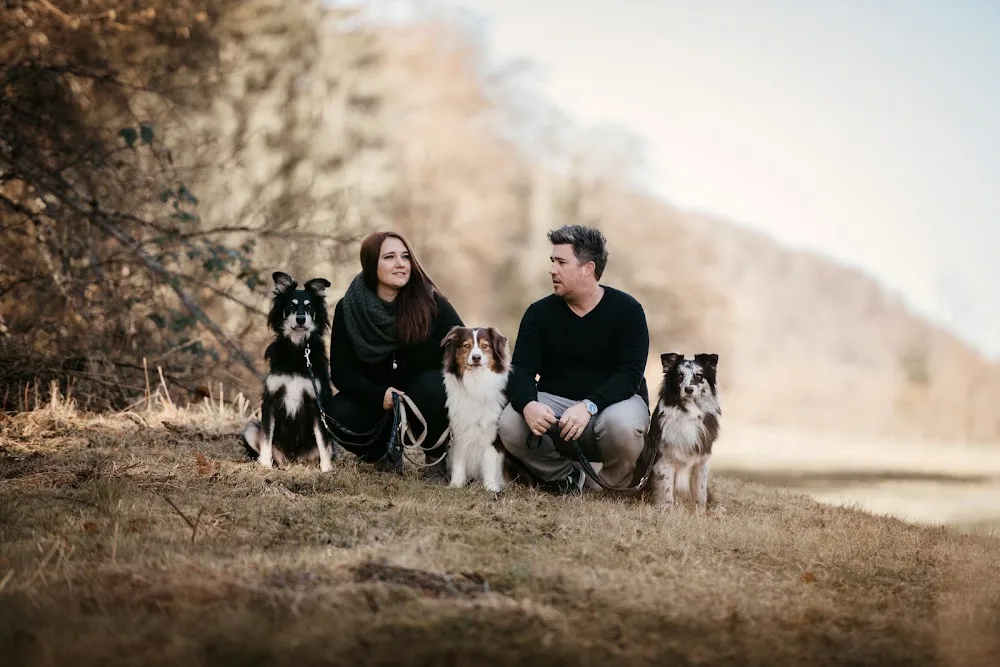 Dogcoach Schaffhausen KLG - Schaffhausen pet otel