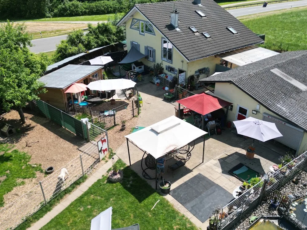 Hundeparadies Stühlingen - Schaffhausen pet otel görseli 2