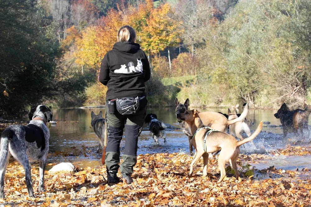 Lili's Pfötli Abentüür - Schaffhausen pet otel görseli 2