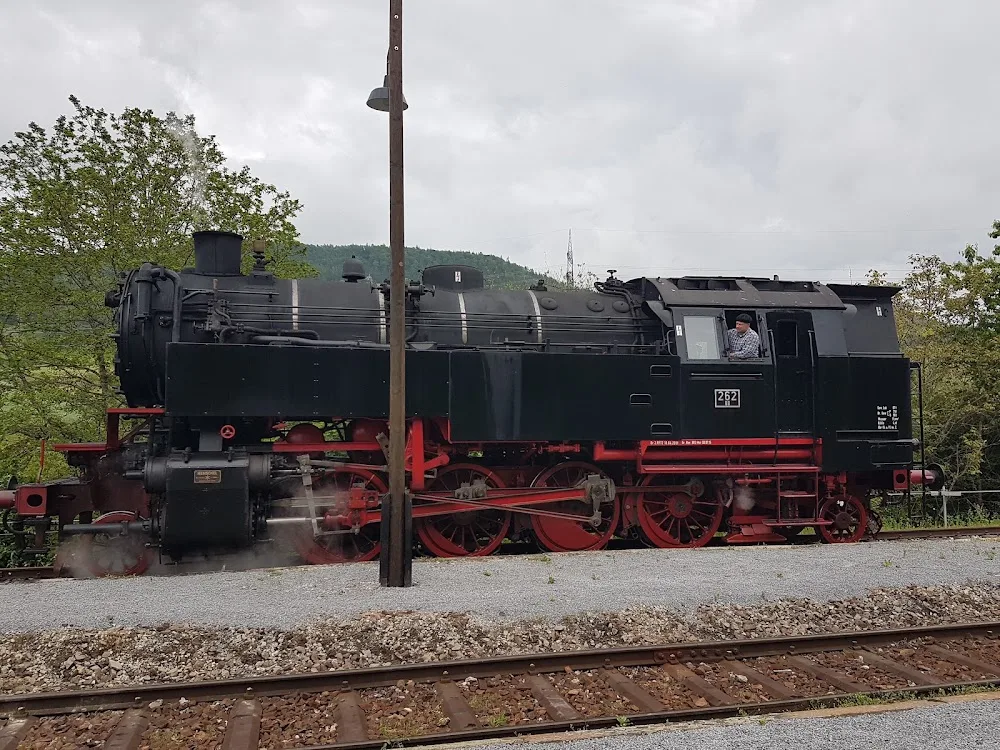 Madurai Bengals - Schaffhausen pet otel görseli 3