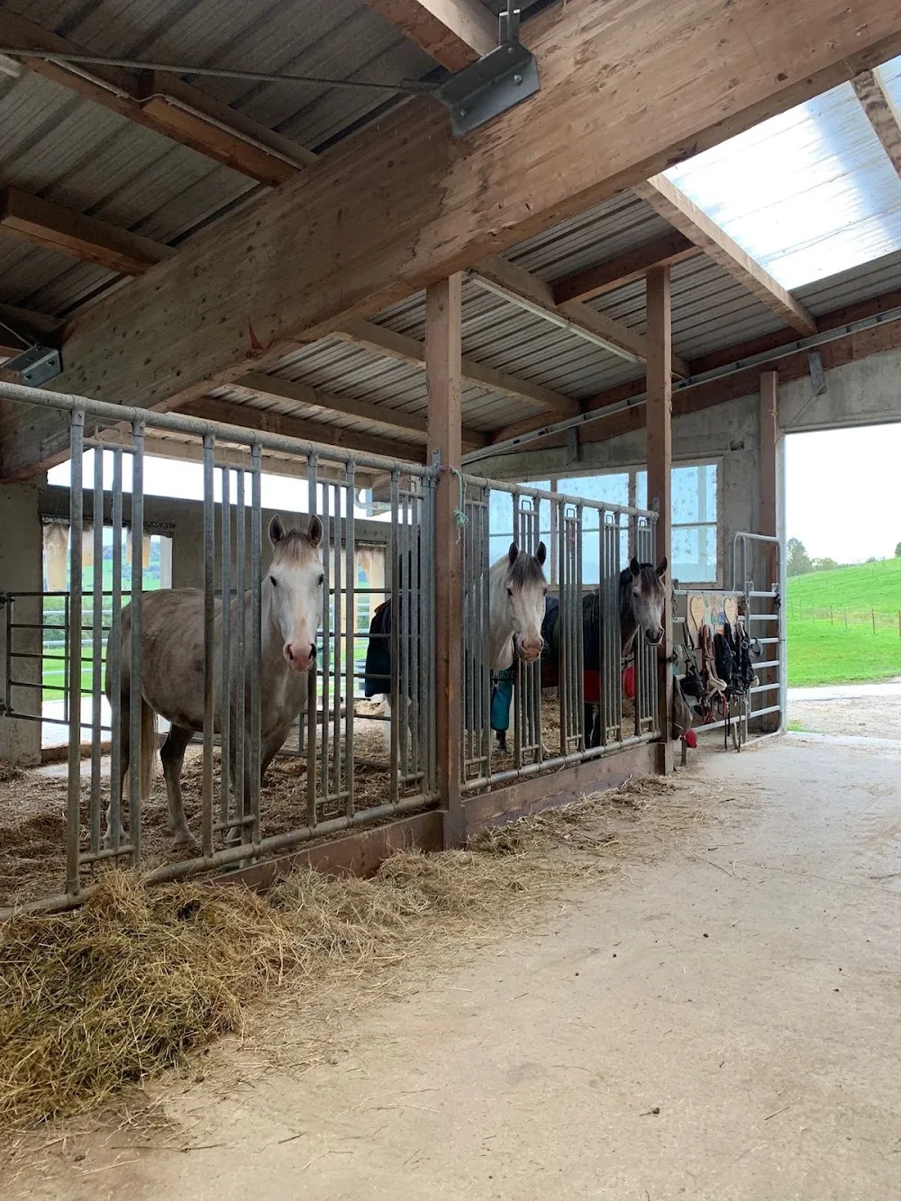 Pferdepension - Hof Eichberg - Schaffhausen pet otel görseli 3