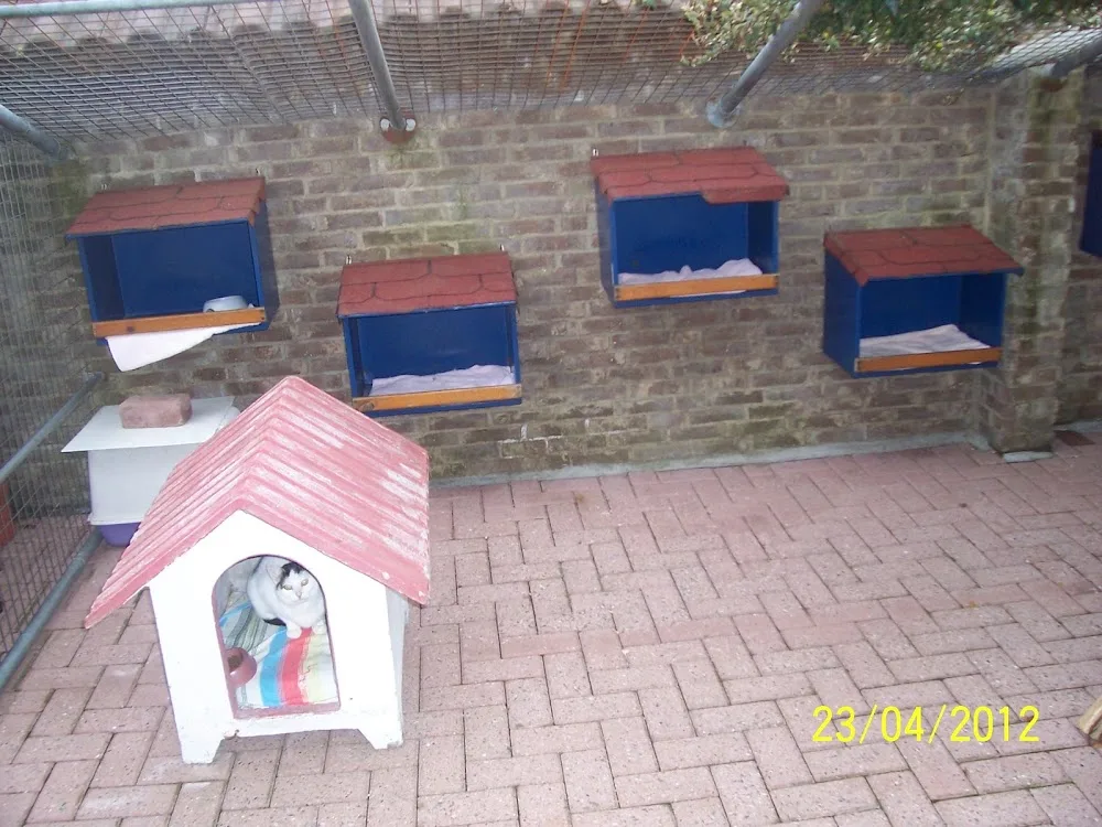 Katten-Hotel Camee - Schinnen pet otel