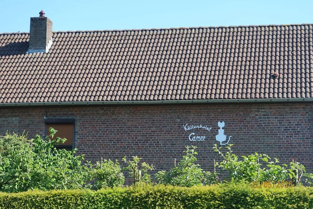 Katten-Hotel Camee - Schinnen pet otel görseli 3