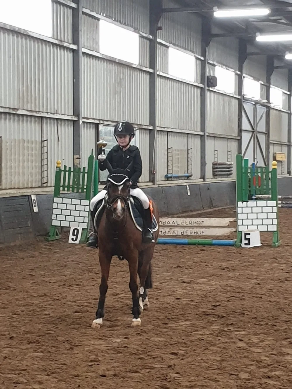 Ruitercentrum Daalderhof 🐎 - Schinnen pet otel görseli 3