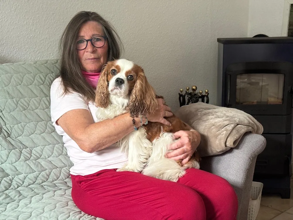 Hundepension Gaby - Schleswig-Holstein pet otel
