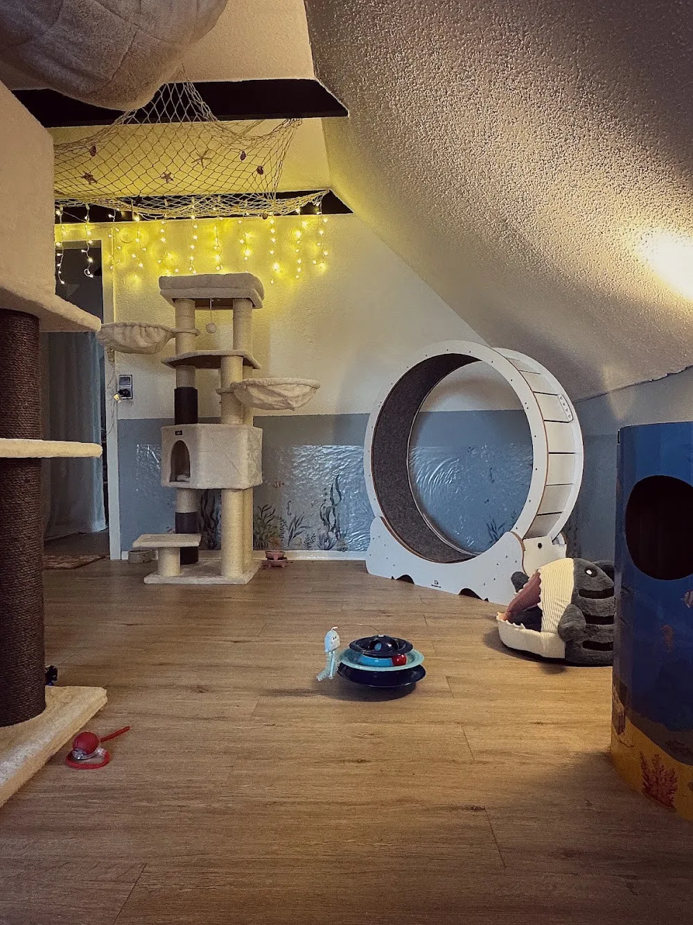 Samtpfoten Residenz - Schleswig-Holstein pet otel görseli 2