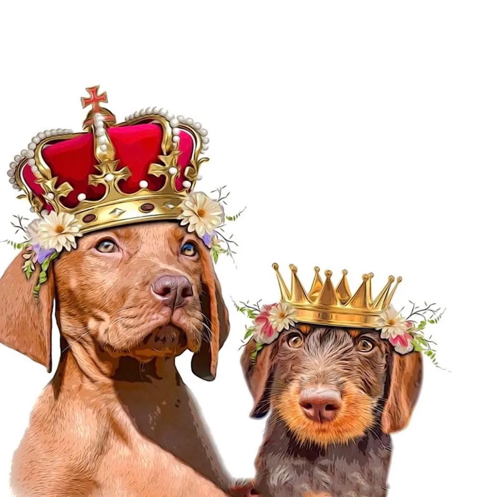 Traveldogs - Schleswig-Holstein pet otel görseli 2