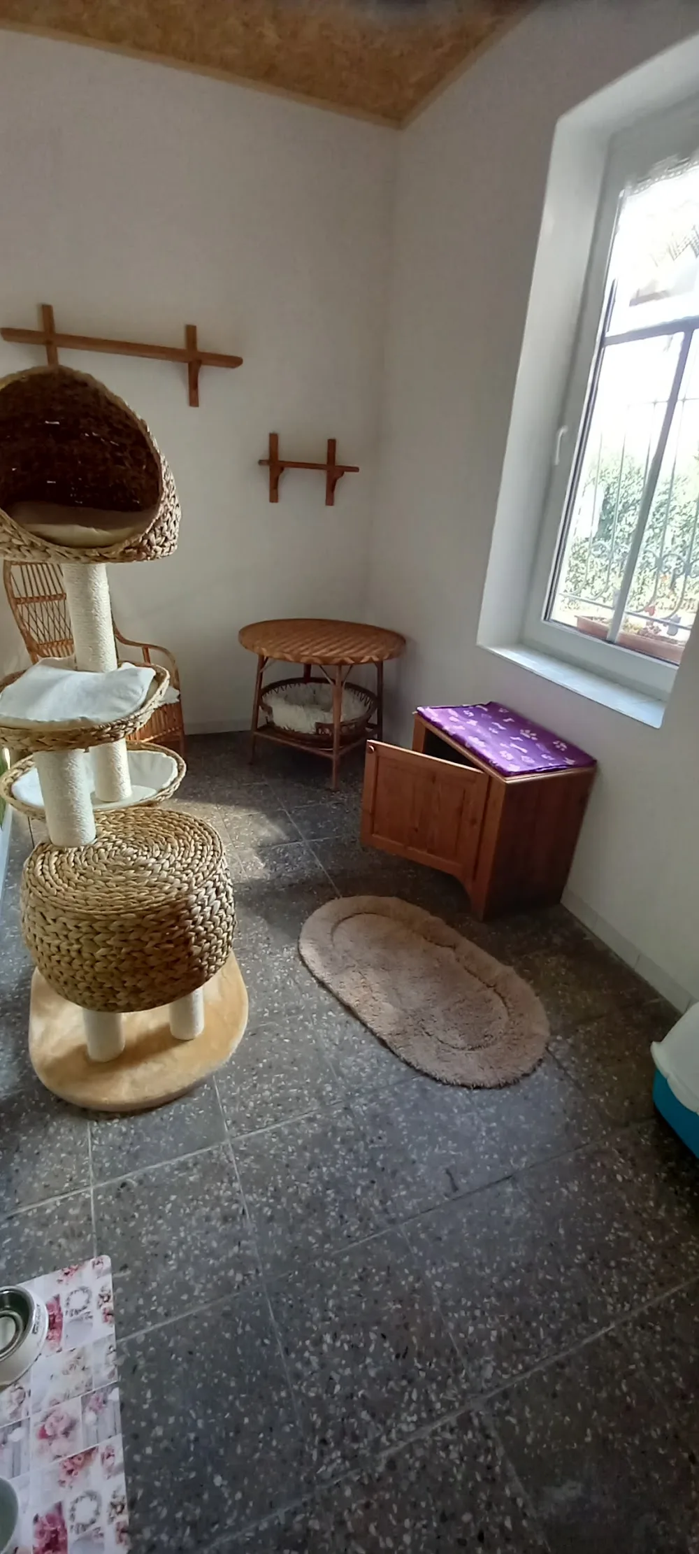 Katzenpension "Krümel" - Schmölln pet otel görseli 2