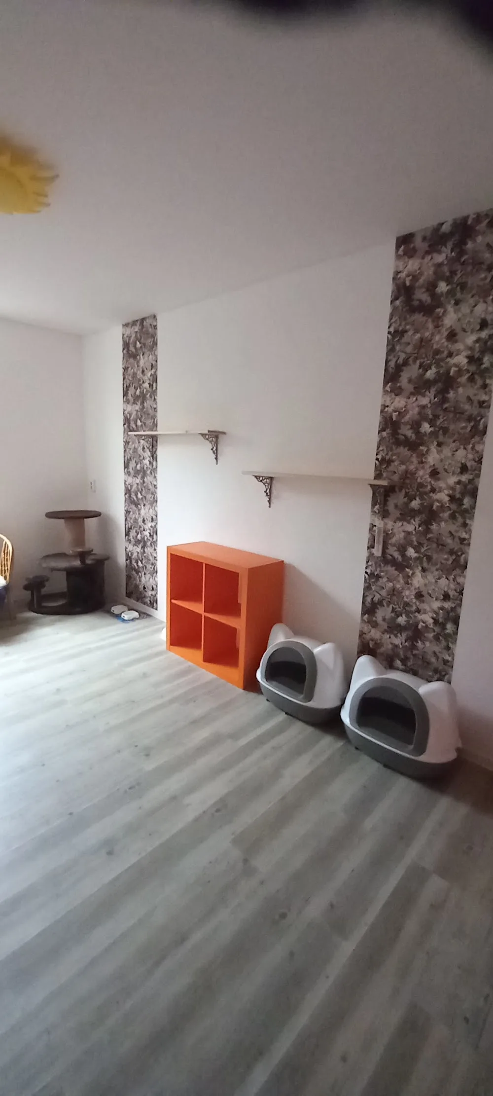 Katzenpension "Krümel" - Schmölln pet otel görseli 3