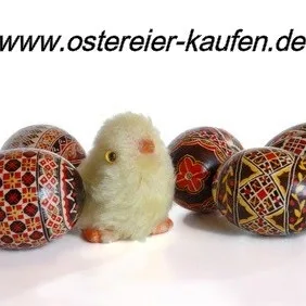 Dog House Germany - Schöllkrippen pet otel görseli 3