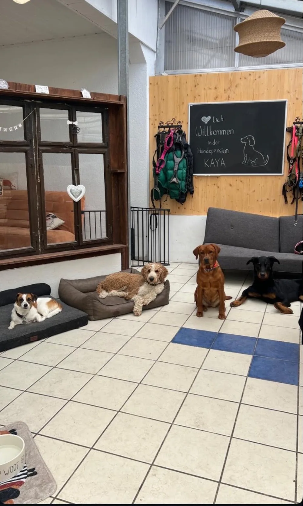 Hundepension Kaya - Schorndorf pet otel görseli 3