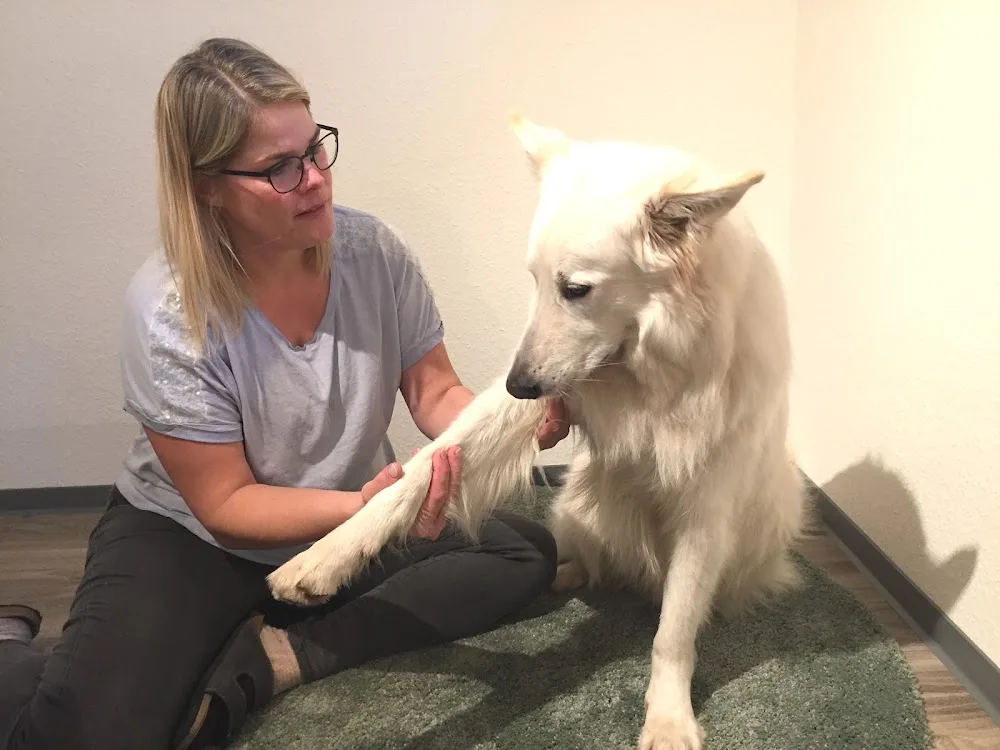 Tierphysiotherapie & Hundepension Silke Engel - Schwülper pet otel